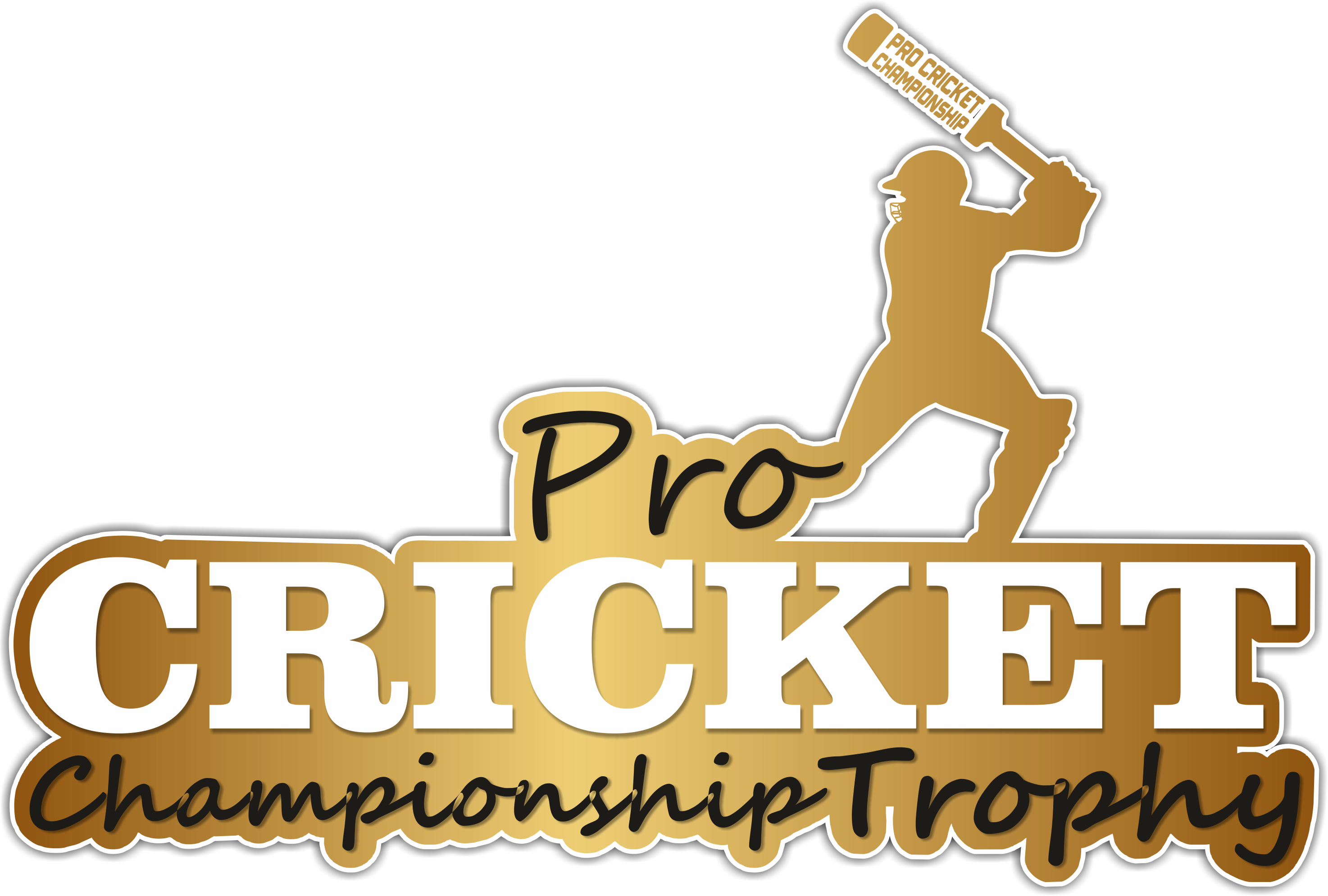 AntiCorruption Committee Pro Cricket Championship Trophy